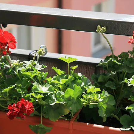 Starowka - Riverside Ii شقة *