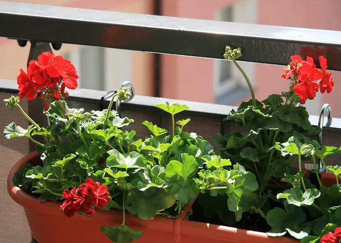 Starowka - Riverside Ii Daire *